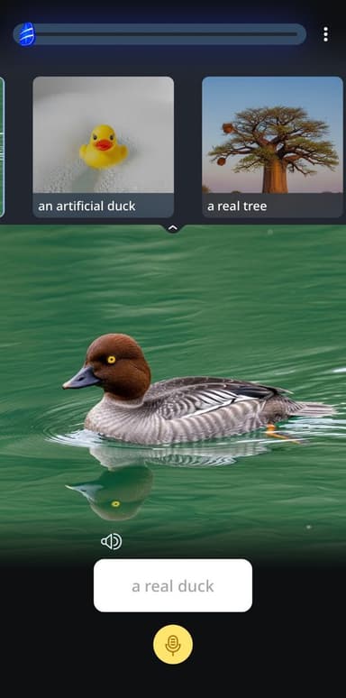 Rosetta Stone Sapphire speaking exercise where TruAccent checks how you say a real duck